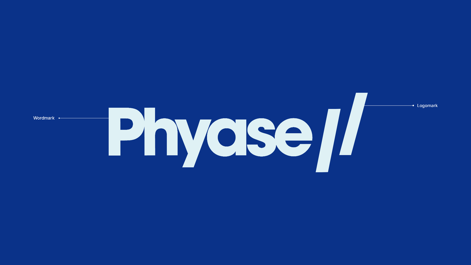 PHYASE // logo anatomy